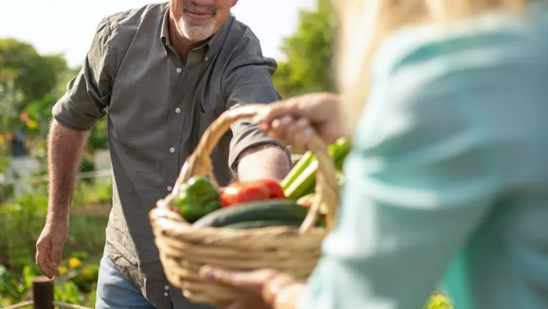 En août, voici quelques tâches à faire dans votre jardin
