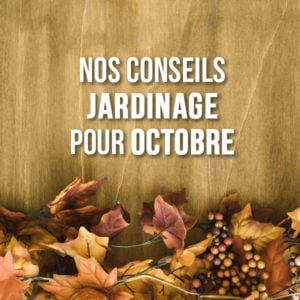 QUE FAIRE AU JARDIN EN OCTOBRE