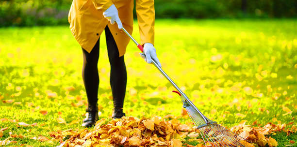 Feuilles mortes en pagaille, gouttières bouchées